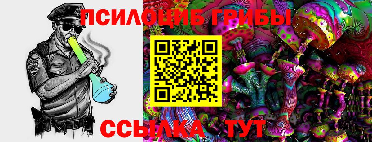 Баксан  Галлюциногенные грибы мухоморы  Галлюциногенные грибы Cubensis  Вход с VPN 