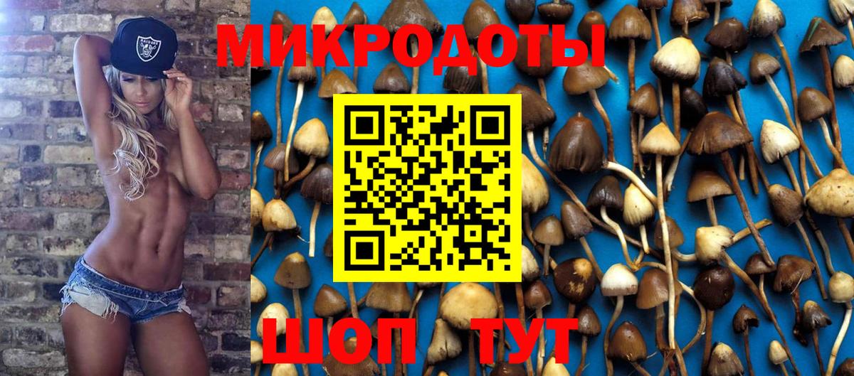 Псилоцибиновые грибы Psilocybine cubensis Баксан